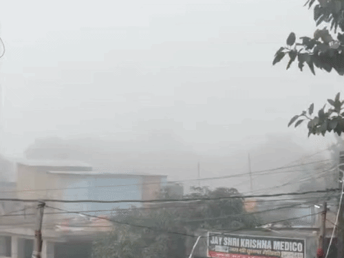 Bihar Weather Update | Temperature Drop Fog Cold Forecast 2026