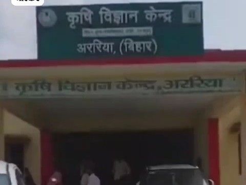 किसानों को 20 रुपए किलो मिलेगा उन्नत आलू बीज:अररिया कृषि विज्ञान केंद्र में सीमित स्टॉक, पहले आओ-पहले पाओ के आधार पर होगा वितरण