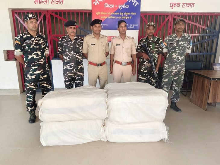 सुपौल में धान के खेत में 240 किलो गांजा मिला:करंट से मौत की जांच में खुला राज; 8 बोरों में था माल, कीमत ₹96 लाख