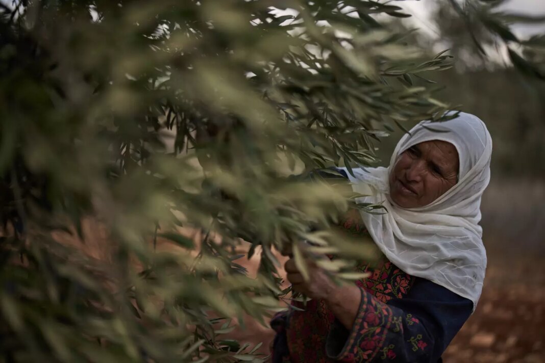 APTOPIX Israel Palestinians West Bank 3524 s1440x960.jpg