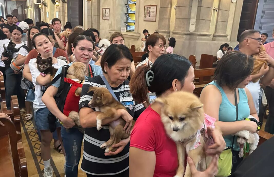 Philippines Pet Blessing 26334 s1440x931.jpg