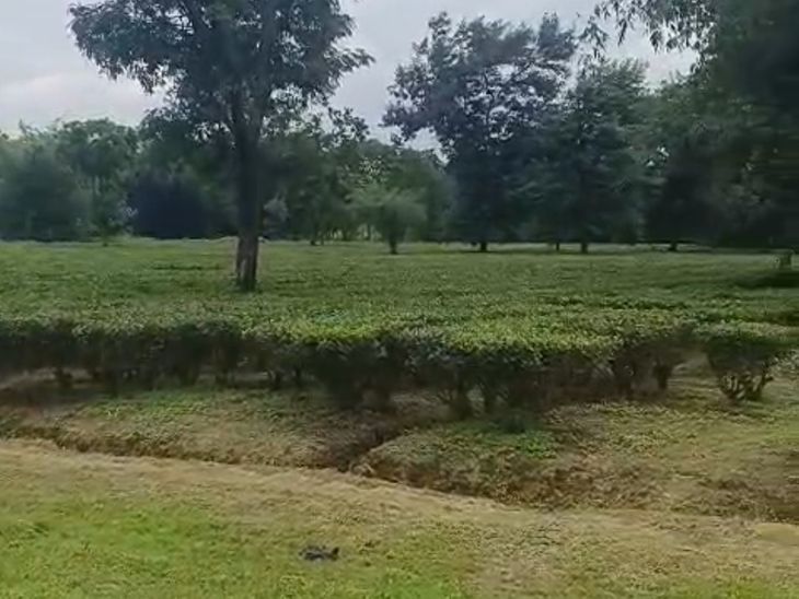 किशनगंज- सैन्य स्टेशन के लिए 189.68 एकड़ जमीन का अधिग्रहण:1.68 एकड़ सरकारी जमीन की MVR राशि गायब, 3 दिन में जांच रिपोर्ट देने का आदेश