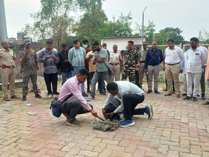 एमएमसीएच में नवजात का शव लेकर घूमता मिला कुत्ता:पोस्टमॉर्टम हाउस की झाड़ियों से आया बाहर, खून से सना कपड़ा मिला