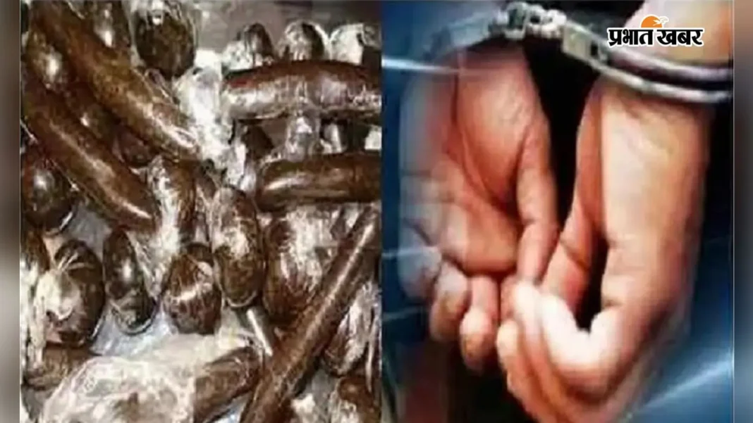 नेपाल से इंदौर जा रही थी 5.14 करोड़ की चरस, DRI और STF ने रक्सौल में ऐसे हुआ भंडाफोड़