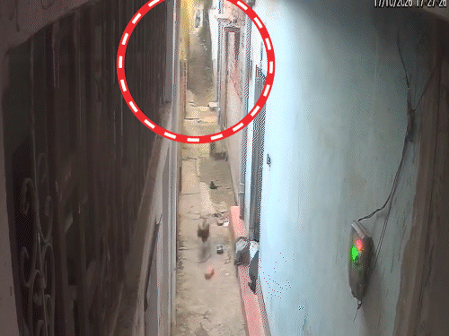 छत पर खेल रहीं दो बच्चियां दूसरी मंजिल से गिरीं:कोडरमा तिलैया के इंद्रपुरी मोहल्ले में हादसा, नाजुक हालत में रांची किया गया रेफर
