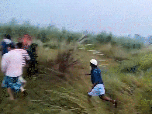 अपनी भैंस खोजने निकले दंपती समेत 3 की मौत:सीतामढ़ी में खेत में लगी कंटीली तार में था करंट, पहले पति फिर पत्नी की गई जान