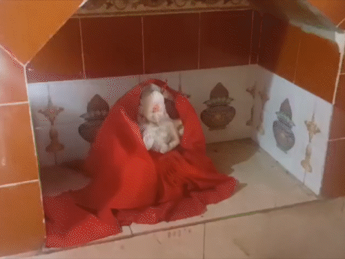 चतरा के धनगांवा गांव में देवी मंडप में चोरी:चांदी के मुकुट, पीतल की घंटियां ले गए चोर, पुलिस कर रही जांच