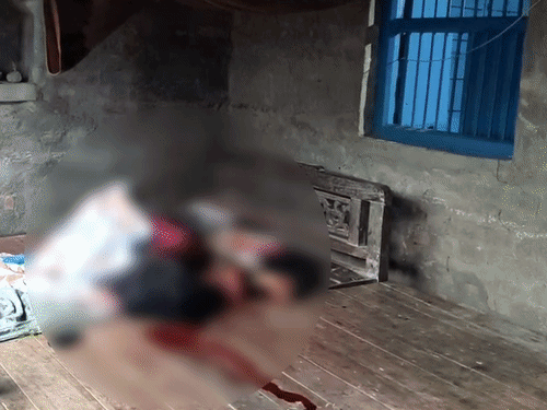 दरभंगा में घर में घुसकर महिला की चाकू गोदकर हत्या:बैंक से निकाले रुपए लूटने की आशंका, अकेली रहती थी; पति और बेटे दिल्ली में रहते हैं