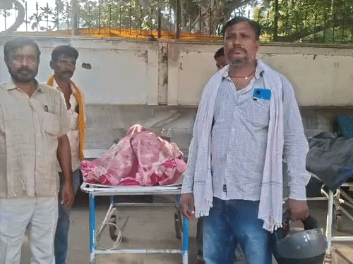 भागलपुर में पेड़ से टकराई बाइक:10वीं के छात्र की मौत, घर का इकलौता लड़का था; चचेरे भाई की हालत नाजुक