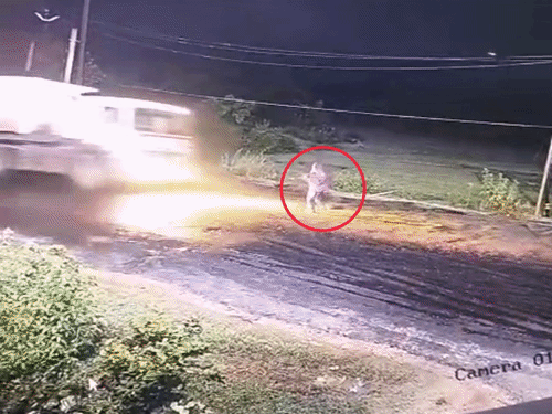 Hazaribagh Accident | Worker Crushed by Trailer at NTPC Transporting Road