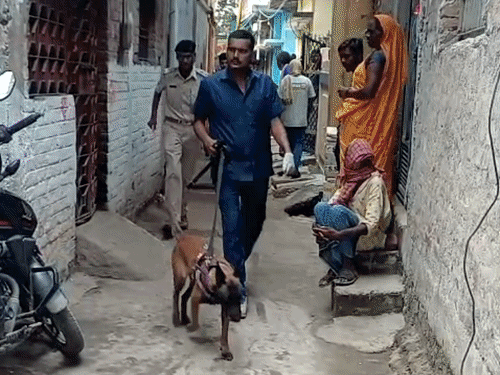 गयाजी में घर में मिला महिला का शव:पति की मौत के बाद अकेले रहती थी; भतीजा बोला- किसी से दुश्मनी नहीं थी; FSL-डॉग स्क्वायड की टीम पहुंची