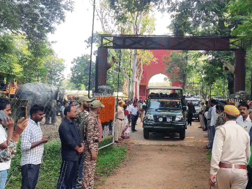 बेतला नेशनल पार्क 3 माह बाद पर्यटकों के लिए खुला:पहले दिन उमड़ी भीड़, जंगल सफारी वाहनों से किया भ्रमण; सुरक्षा के खास इंतजाम
