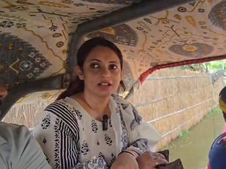 सीओ हर्षा कोमल से शाहकुंड अंचल का प्रभार वापस लिया:राजस्व वसूली में सुस्ती और जनशिकायतों की अनदेखी का आरोप; जिला मुख्यालय में योगदान के निर्देश
