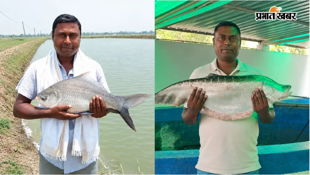 Success Story : पटना के विवेक ने छोड़ी होटल मैनेजमेंट की नौकरी, 15 एकड़ में मछली पालन कर ऐसे बदल दी 20 लोगों की किस्मत