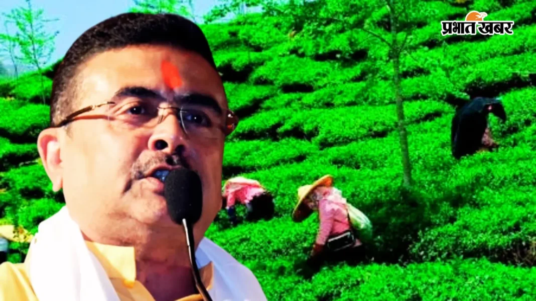 शुभेंदु अधिकारी कैबिनेट का फैसला- बंगाल के बंद चाय बागान कर्मियों को मिलेंगे 5000 रुपए और 50 किलो अतिरिक्त चावल