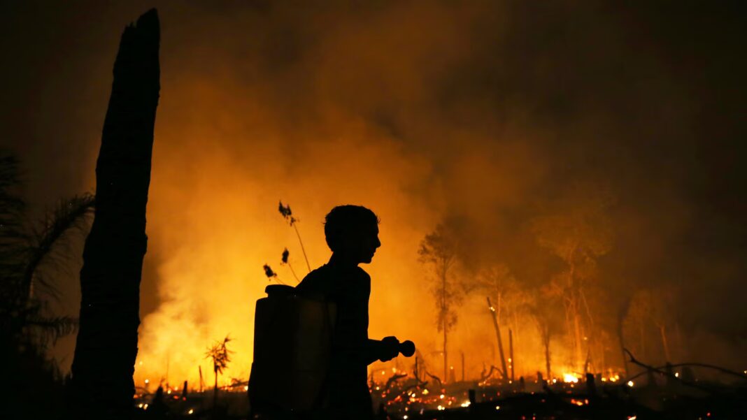 Brazil investigates Amazon wildfires that disrupt daily life